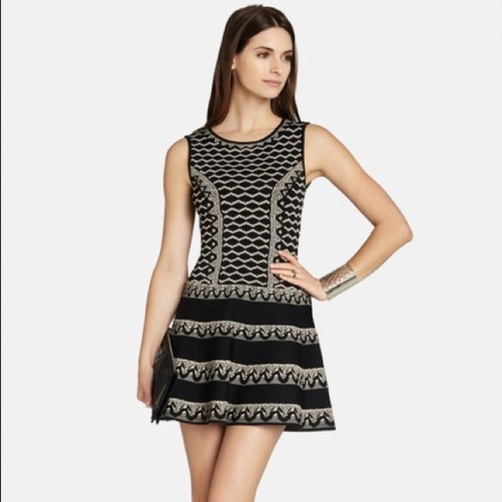 BCBG Max Azria Wilma Jacquard Flare Dress Black